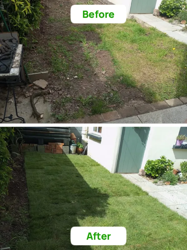Before and after a turf grass installation